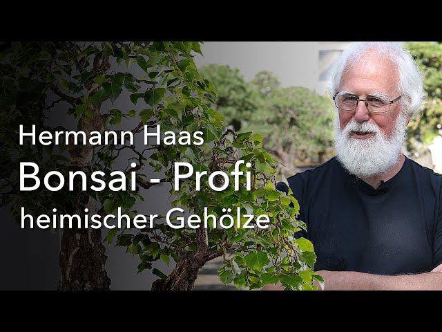 Nicht nur schwarz und weiß! Der Birken-Profi Hermann Haas - Bonsai aus heimischen Gehölzen!