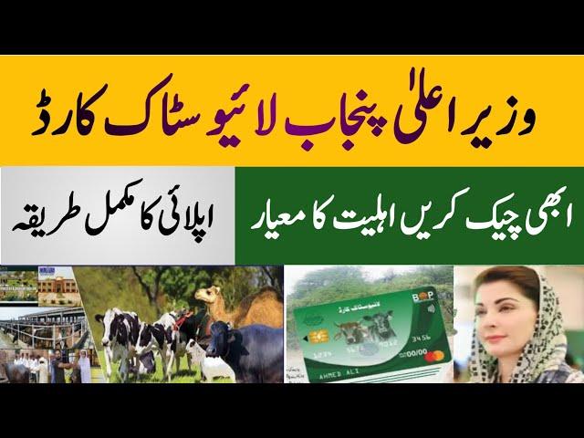 Livestock card Punjab 2024 || How to get CM Punjab livestock card