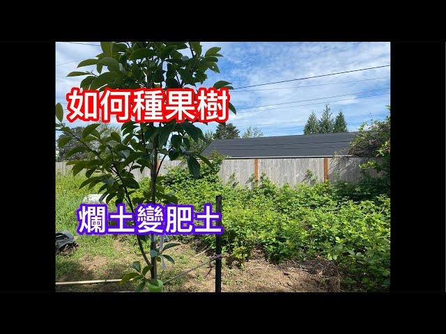 如何開墾農地#堆肥種菜#建菜園