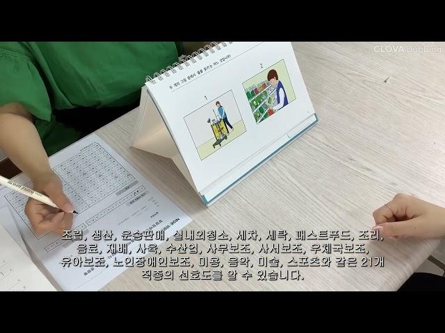 발달장애인용 그림직업흥미검사(NISE-VISIT)