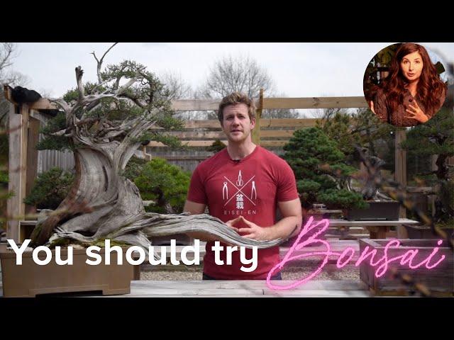 Top 5 Bonsai Trees (Indoor and Outdoor Options) with Bjorn from Eisei-en Bonsai