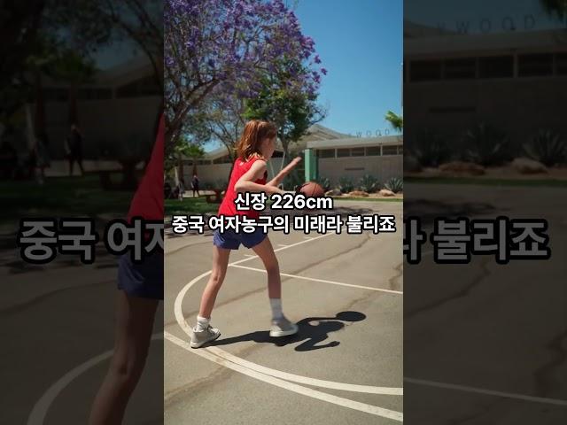 226cm 괴물 등장! 일본 농구 박살