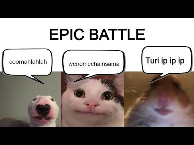 Turi ip ip ip vs wenomechainsama vs coomahlahlah (Epic Battle)