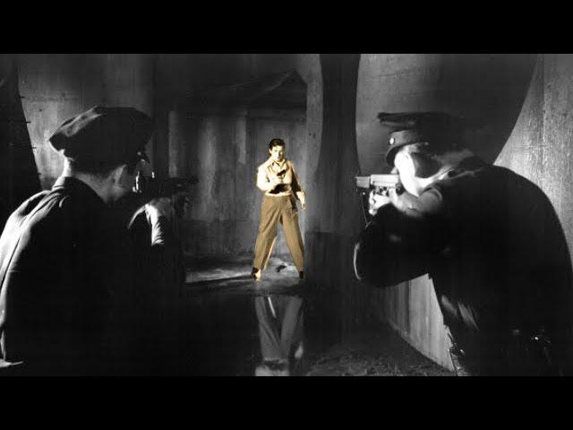 HE WALKED BY NIGHT | Richard Basehart | Full Length Noir Crime Movie | Noir Movie | English | HD