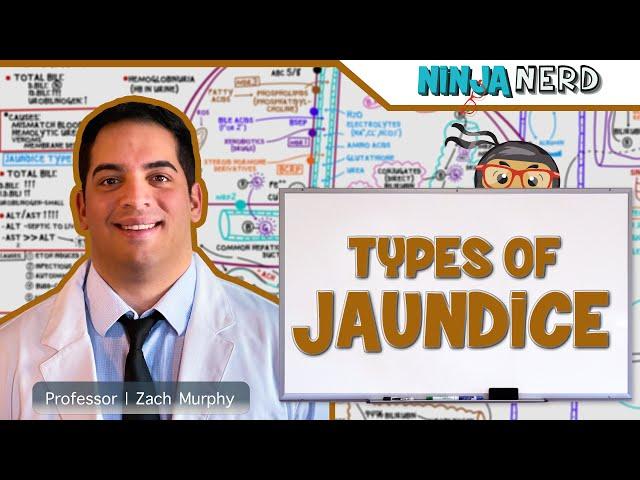 Gastrointestinal | Types of Jaundice