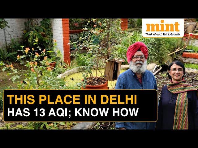 How This Couple Defeated Toxic Air Pollution To Breathe 'Mountain Air' While Staying In Delhi