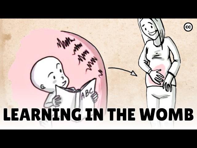 Prenatal Development: What Babies Learn in the Womb