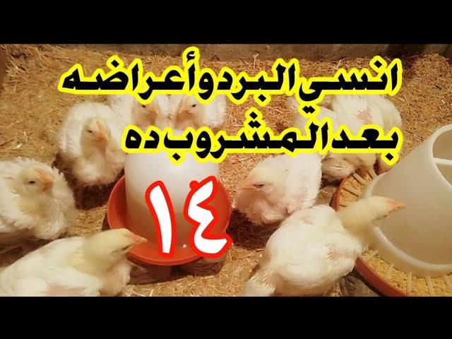 عمر 14 يوم//المشروب الجباار لعلاج نزلات البرد القوية والطشمه والعطس والخنفرة والكحه والكششان والخمول