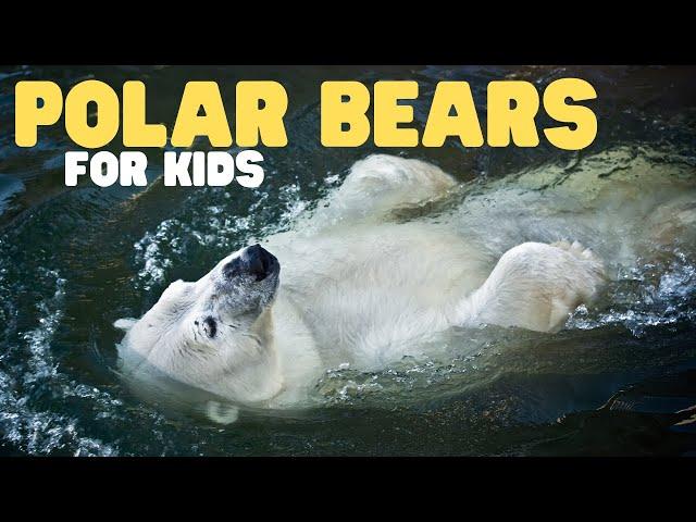Polar Bears for Kids | Learn all about these apex predators