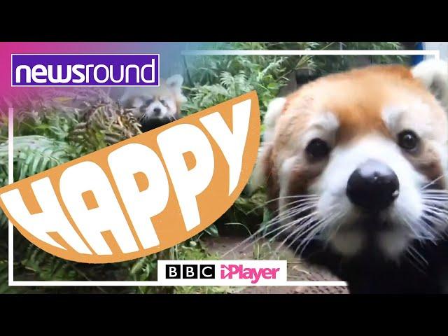 Happy News: Stories to make you SMILE | Newsround