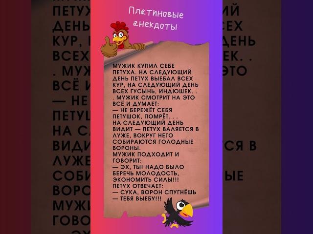 Мужик и петух. #Shorts #Шортс
