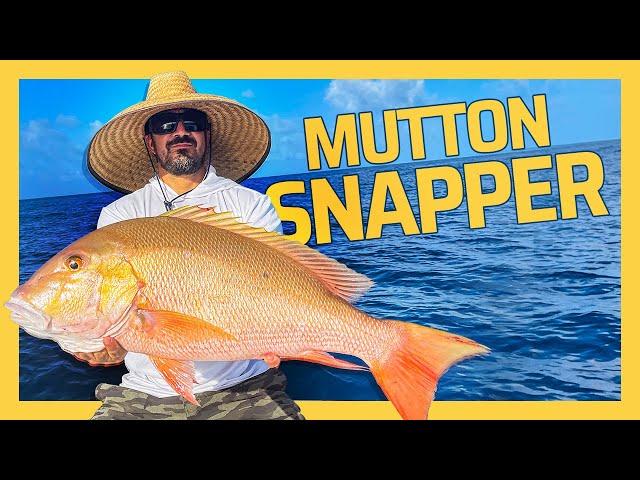 Epic Bottom Fishing Trip on New Boat! {Featuring the FishMan}