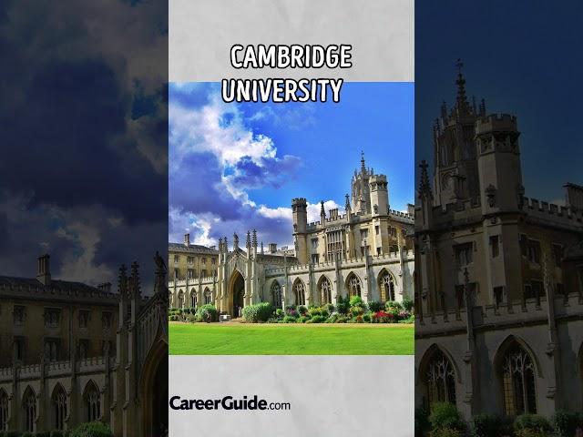 Top 5 Law Schools  #law  #lawschools  #careerlife