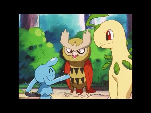 Bayleef And Noctowl Talk To Each Other