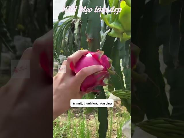 Ăn Gì Càng Đen Sạm, Ăn Gì Càng Trắng