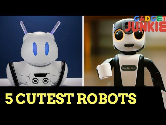 Top 5 Future Robots which You Can Buy | Awesome Futuristic Robots