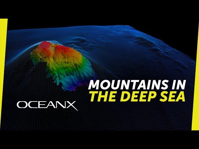 Exploring a Mysterious Seamount