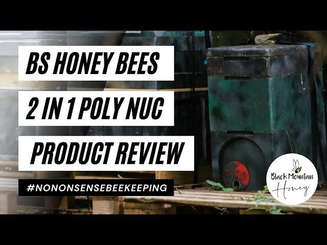 BS Honey Bees Nuc Review