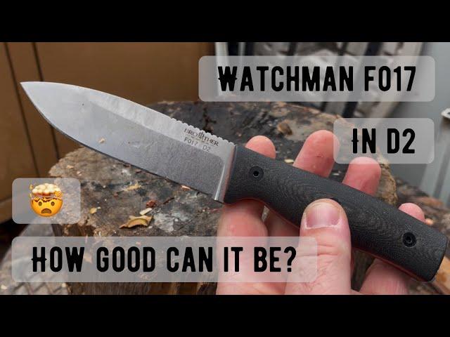 Well. That wasn’t expected. The Watchman F017