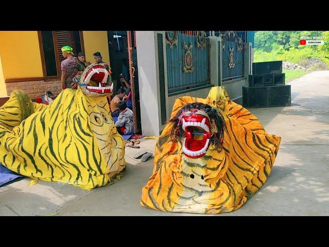 BARONGAN GALAK!! Barongan Hargo Budoyo Rembang Live Blandok Indah - WONG WORO