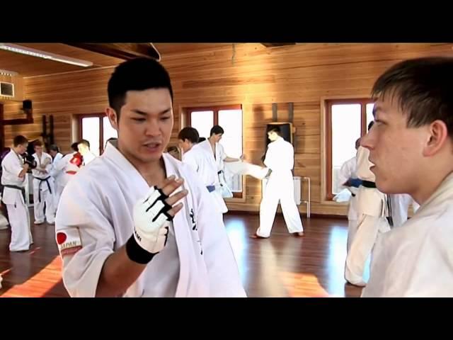 Dmitriy Moiseev - technique lightweight fighter (shinkyokushin karate)