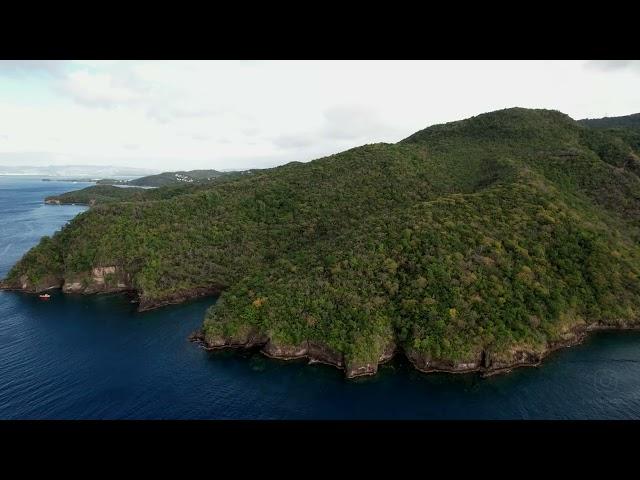  Best BeachesCaribbean Martinique -  Anse Defour & Anse Noire  Deep House - Drone 4K