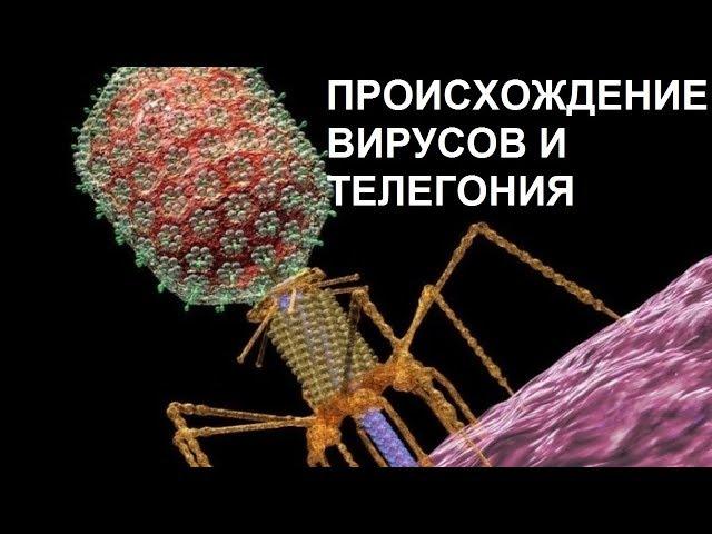 ПРОИСХОЖДЕНИЕ ВИРУСОВ И ТЕЛЕГОНИЯ