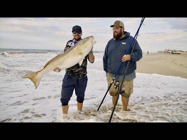 Surf Fishing in North Carolina - Giant Drum & Sharks