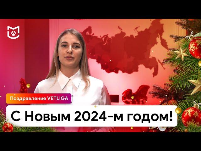 С Новым 2024-м годом! Поздравление VETLIGA