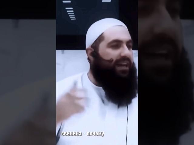 Почему свинина харам ? #Ислам #islam #FreePalestine
