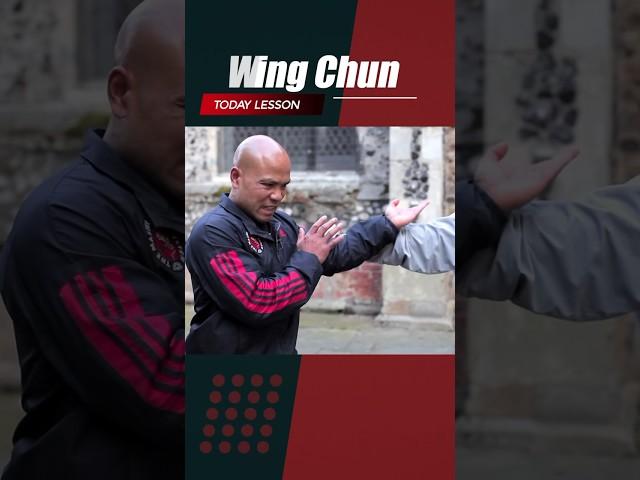 Wing Chun block Fast punch 