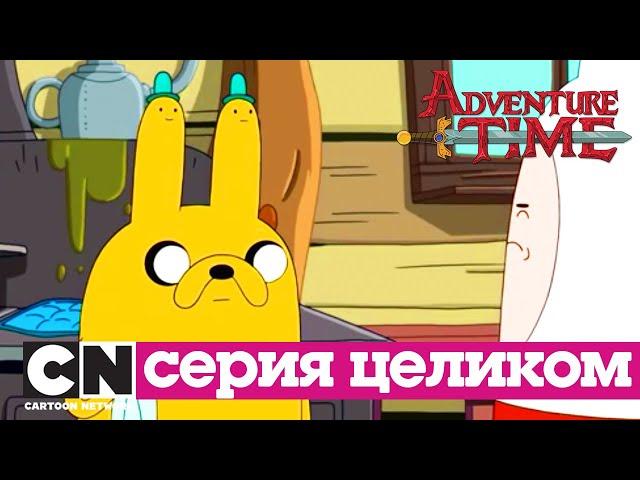 Время приключений | Жермин + Чипсы и Мороженое (серия целиком) | Cartoon Network