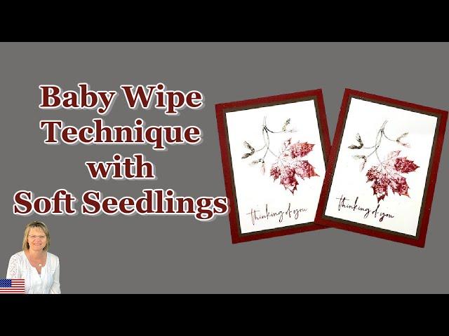 Baby Wipe With Soft Seedlings