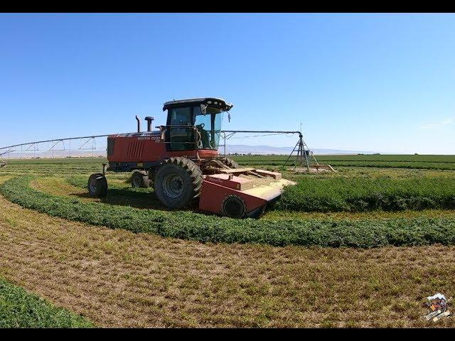 Mowing Crop Circles of Irrigated Alfalfa near Mountain Home Idaho