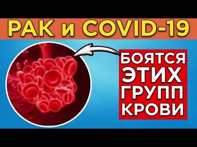 СМОТРИТЕ! Какие Группы Крови Устойчивы перед болезнями? (1, 2, 3, 4 ?)