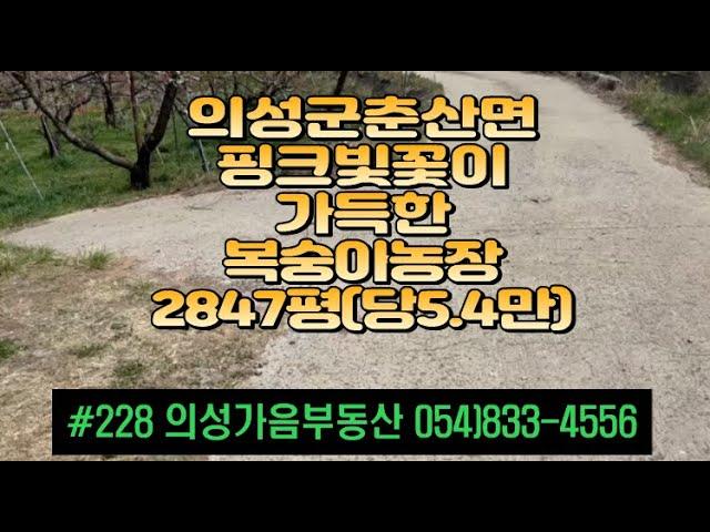 #228 의성가음부동산 하천옆 들판 복숭아밭 9년생 관리상태^ 수확황금기 주택(거주중) 창고 4m도로접 큰차진입 전기인입 합1.55억 (당5.4만) 귀농강추 #의성복숭아밭#귀농귀촌