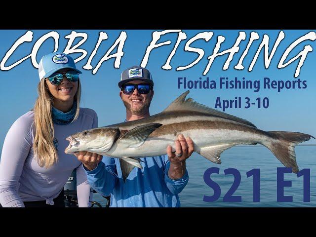 TOP Cobia Fishing Spots in Florida! | S21 E1