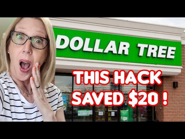 DOLLAR TREE HACK BEATS AMAZON  Easy DIY you HAVE TO SEE #dollartreehacks #dollartree