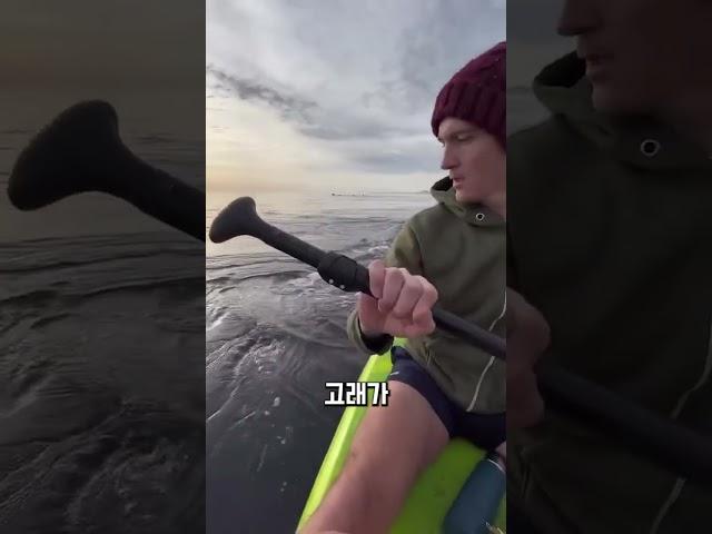 고래 냄새 맡아본 사람?
