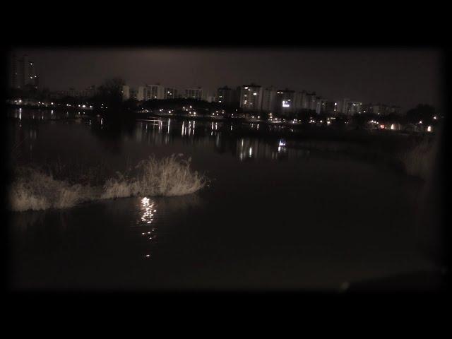 호수에 비친 달빛 풍경과 잔잔한 음악 Moonlight reflected on the lake and calm music