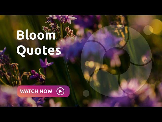 Bloom Quotes