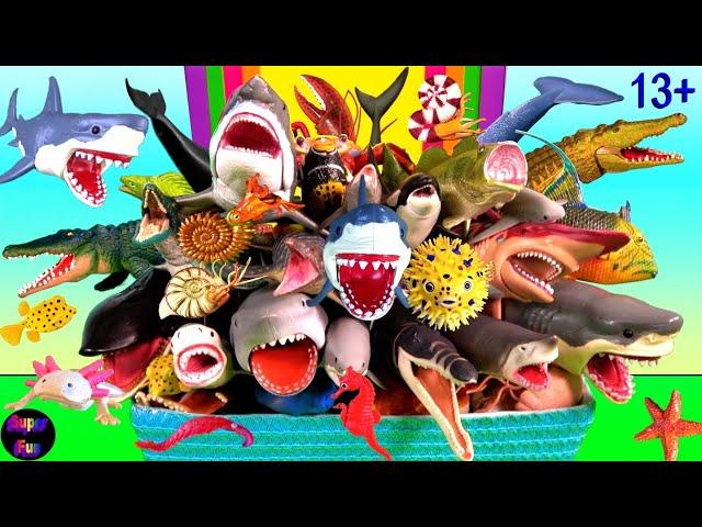 NEW Sea Animals - Sharks, Whales, Fish, Shellfish, Cephalopods, Crustaceans, Turtles, Rays 13+