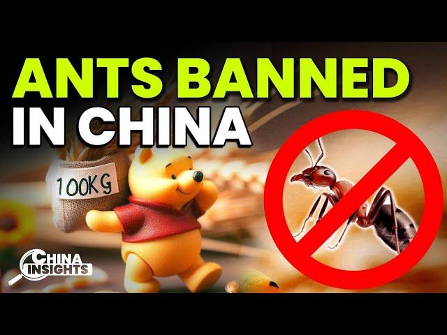 Censorship on China's Internet Is INSANE. See What's Banned This Month!!