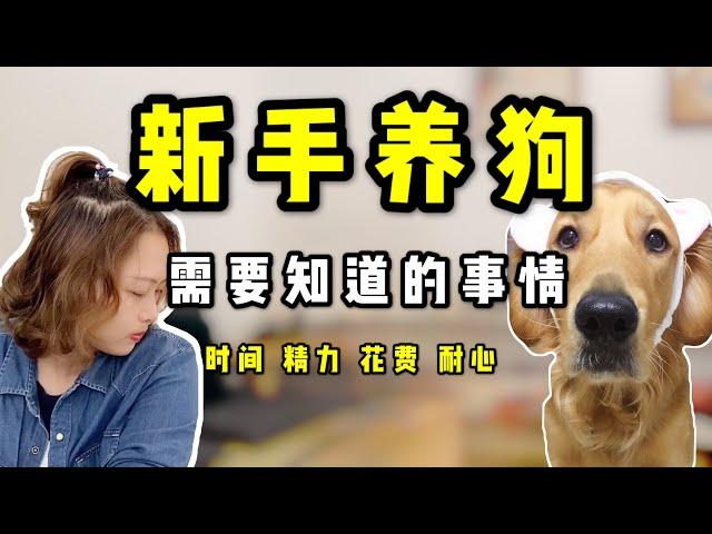 养狗前的准备 | 养狗新手一定需要知道的，关于狗狗的那些事情【养汪事务所】