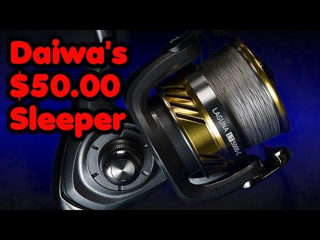 The NEW Daiwa Laguna is better than I expected for a $50 - 5000 sized reel.
