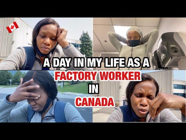 FACTORY WORK  - My Second JOB in CANADA | A day in my life