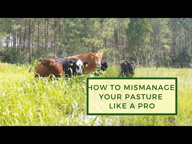 How to Mismanage Your Pasture Like a Pro