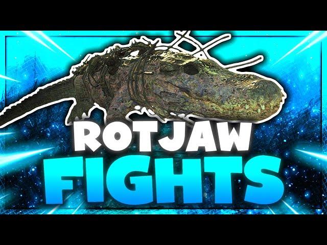 Fighting for RotJaw | Hunt: Showdown