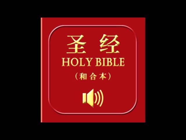 和合本圣经 • 马太福音 | Chinese Union Version Bible • Matthew