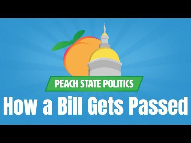 How Does a Bill Become Law? | Peach State Politics